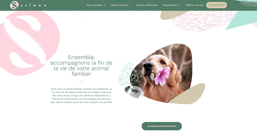 Capture d'écran du site Solâme