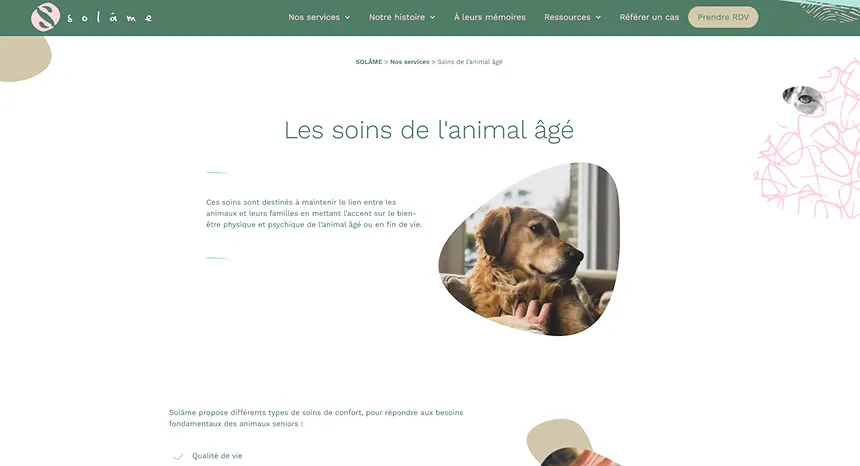 Capture d'écran du site Solâme